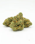Fleur CBD Amnesia US Small Buds Indoor Suisse 13% CBD YGGDRA