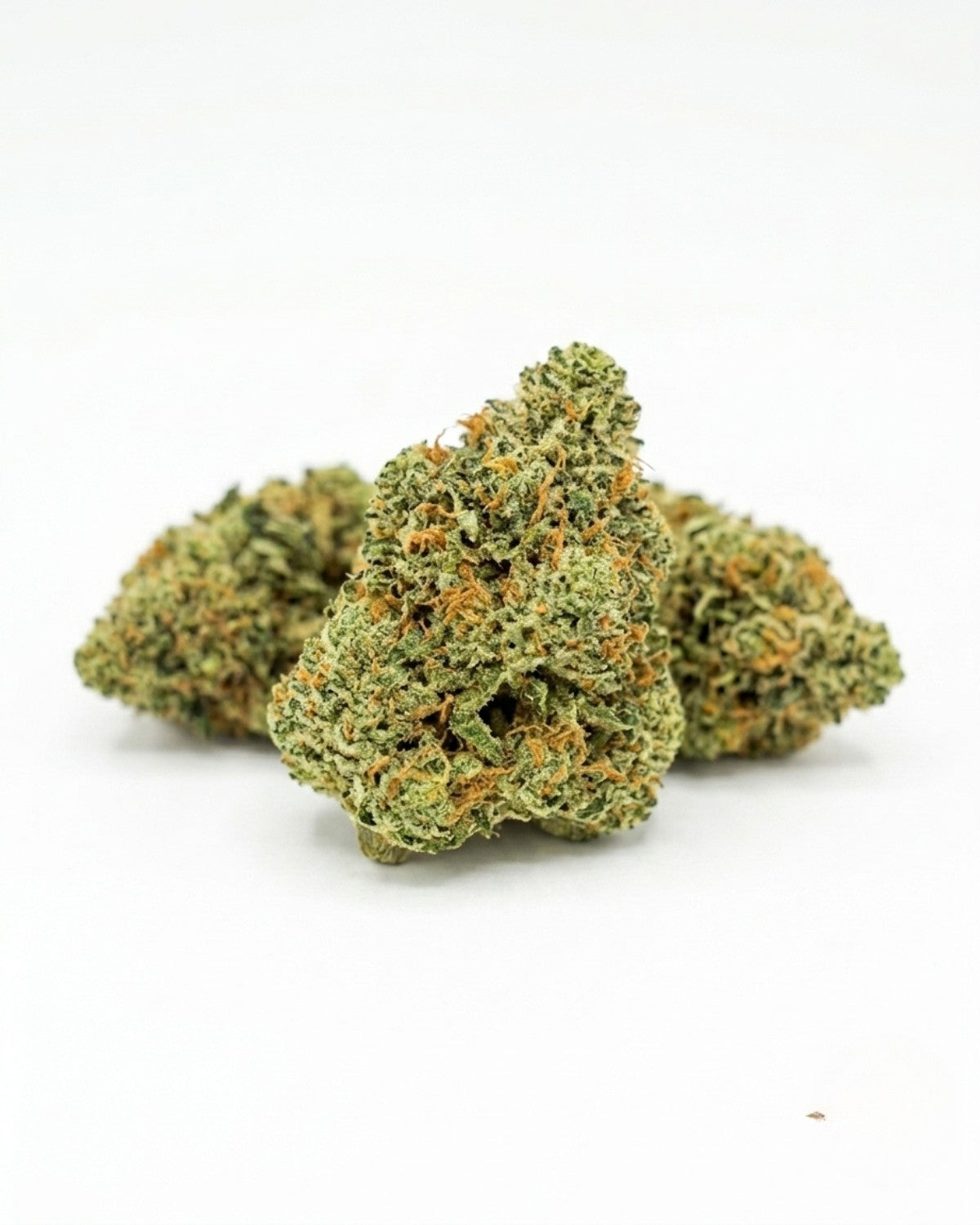 Fleur CBD Amnesia US Small Buds Indoor Suisse 13% CBD YGGDRA