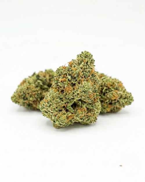 Fleur CBD Amnesia US Small Buds Indoor Suisse 13% CBD YGGDRA