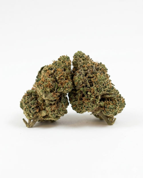 Fleur CBD Blueberry Cookies Small Buds Indoor Suisse 11% CBD YGGDRA