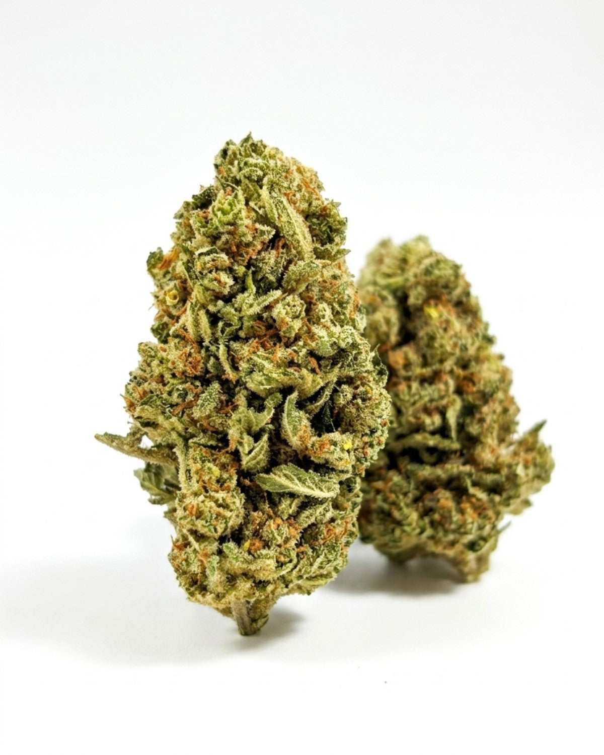 Fleur CBD Lemon Candy Indoor Premium Suisse 14% CBD YGGDRA